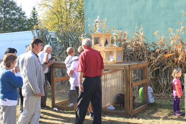 Jurmak2011 (156).JPG